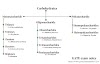 Classification of carbohydrates 