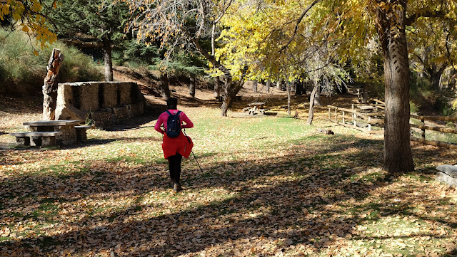 Área recreativa la Tizná, Barranco Alcázar