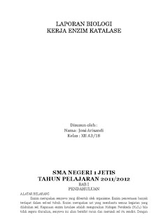   laporan praktikum enzim katalase, praktikum biologi enzim katalase ekstrak hati, cara kerja enzim katalase pada hati, laporan praktikum enzim katalase pada hati dan jantung, laporan praktikum biologi enzim katalase menggunakan hati ayam, dasar teori enzim katalase, laporan enzim katalase pada hati ayam, laporan praktikum enzim katalase pada hati dan jantung ayam, laporan pengaruh enzim katalase pada hati ayam