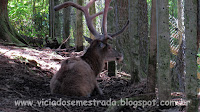 Aldeia do Papai Noel, Gramado, RS