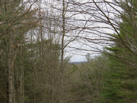 view from the North Country Trail