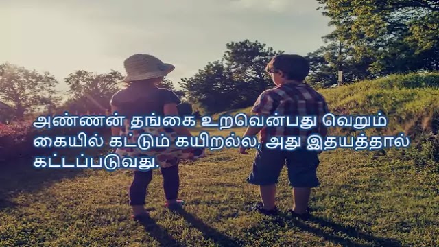Brothers and Sisters Quotes in Tamil 9