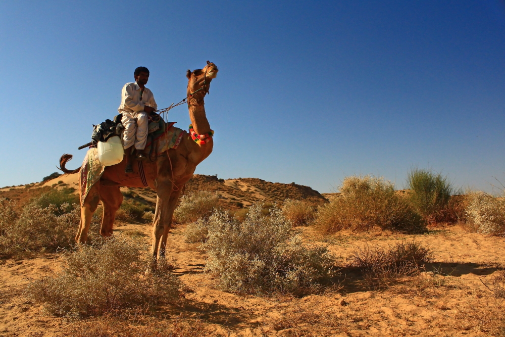 Thar Desert, Rajasthan