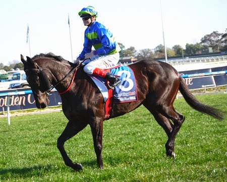 race 7 _gregers 3