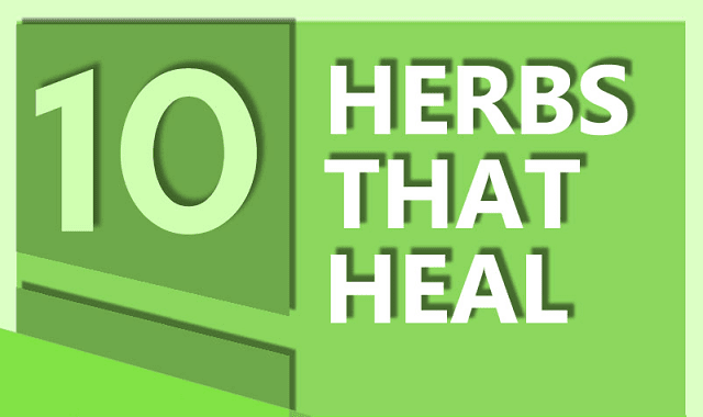Top 10 Herbs That Heal