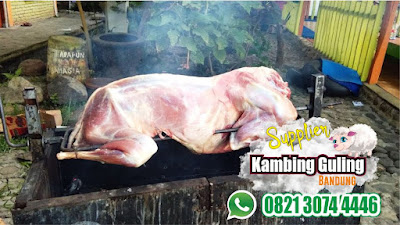 Kambing Guling Kiloan Bandung,Kambing Guling Bandung,