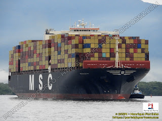 MSC Natasha ⅩⅢ