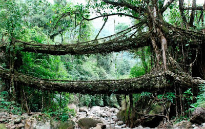 Jembatan Cherrapunji