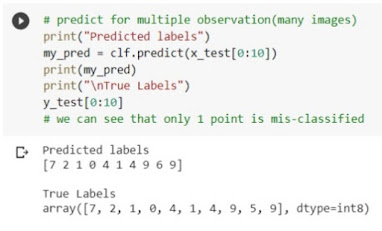 Build Machine Learning Model