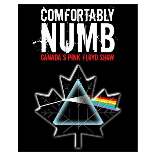 Fresh 60 of Comfortably Numb Pink Floyd Album Art