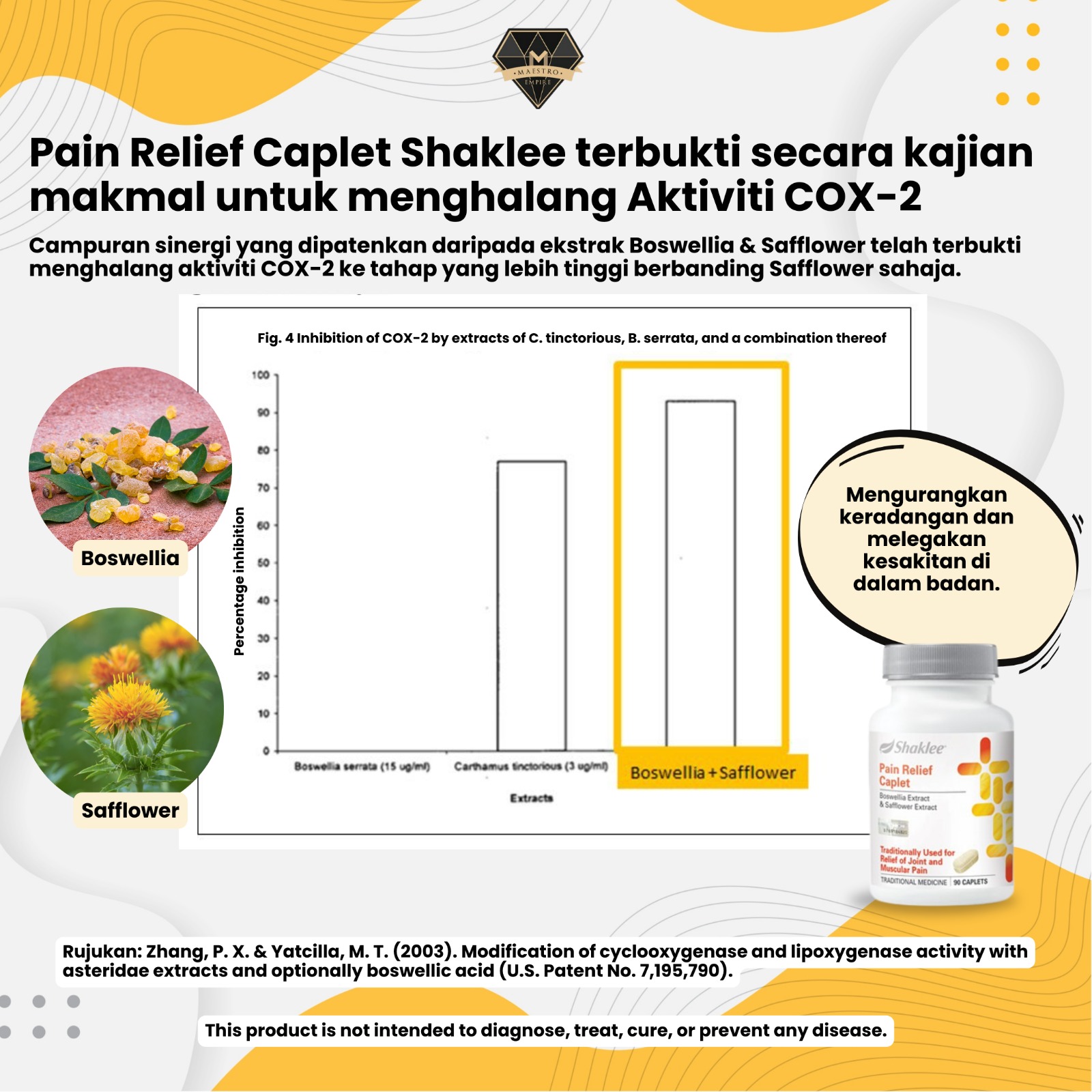 Pain Relief Caplet Shaklee Untuk Sakit Sendi