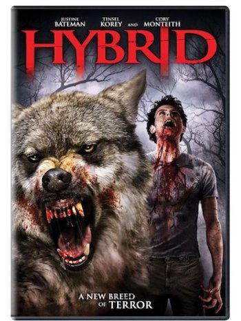 Hybrid 2007 Dual Audio Hindi 480p WEBRip 280MB