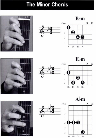 Kumpulan Chord Gitar dengan Tangan Kiri - Left Hand Chord