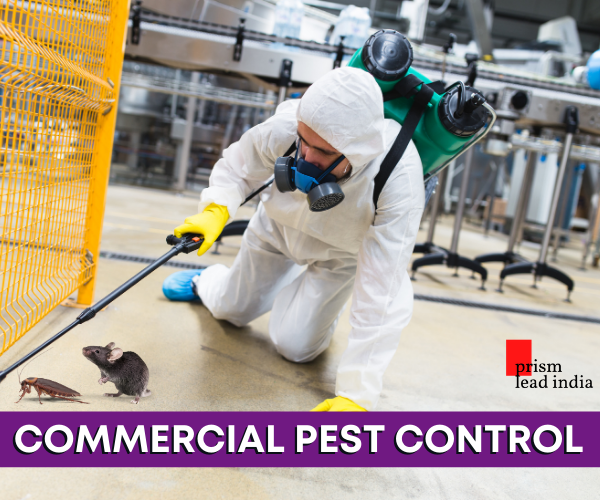 Pest Control Services Bangalore