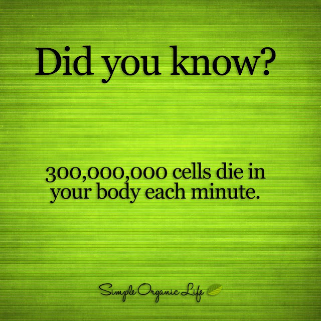 300,000,000 cells die in your body each minute.