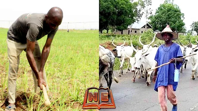 Food Security: Avoid fighting yourselves - group tasks farmers