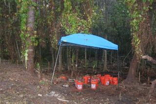 crime scene where Caylee Anthony's remains were found almost 6 months after she went missing