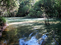 El Llac Petit o Pantà de la Mixeta