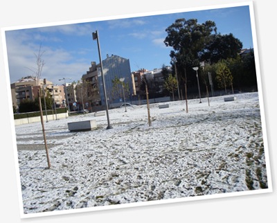 Ver Neve