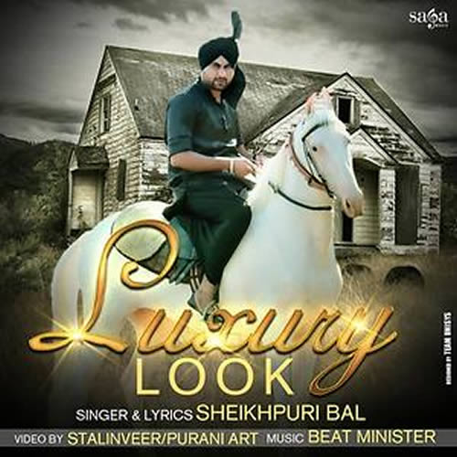 Luxury Look - Sheikhpuri Bal