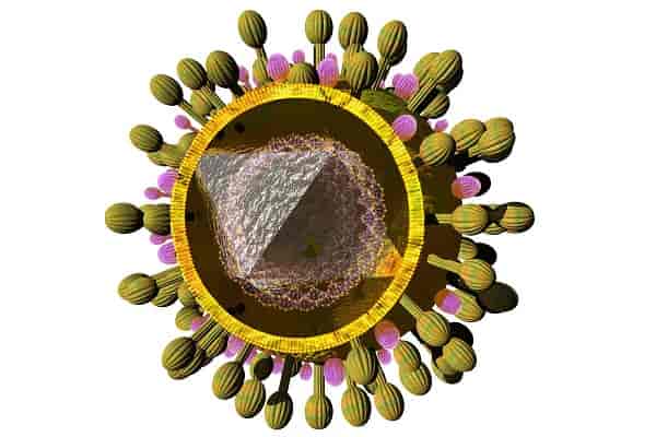 Vacinas de mRNA reduzem o risco de infecção por COVID-19 em 91% 