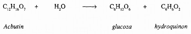 Thành phần hóa học Châu Thụ - Gaultheria fragrantissima - Nguyên liệu làm thuốc Chữa Tê Thấp và Đau Nhức