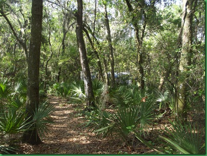 By the Alafia site 25 036