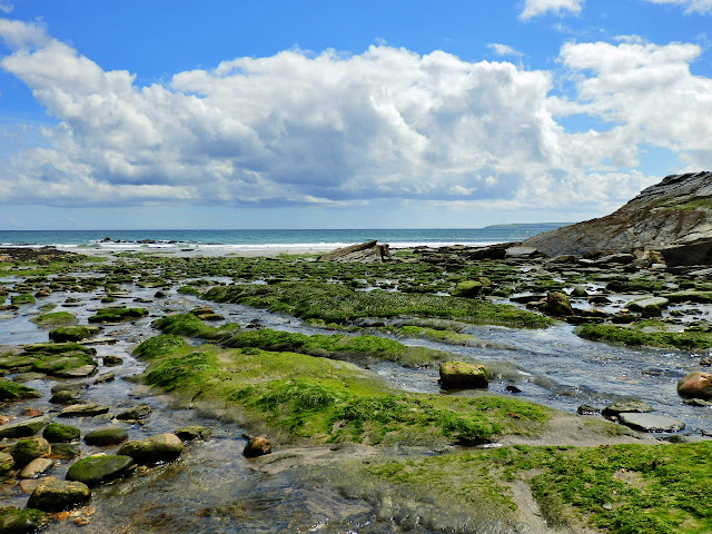 rock pools at Spit Beach, Cornwall at low tide