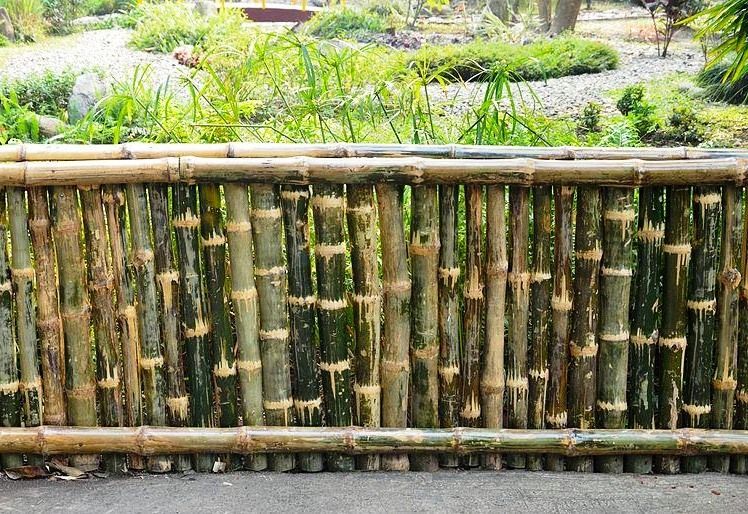 21 desain dan harga pagar  bambu  minimalis termasuk pagar  