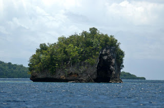 Indahnya Taman Laut di Raja Ampat