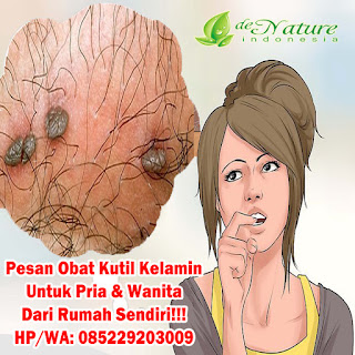 obat kutil kelamin