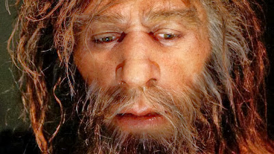 Neanderthal viruses found in modern Humans