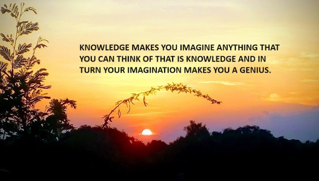 KNOWLEDGE MAKES YOU IMAGINE ANYTHING THAT YOU CAN THINK OF THAT IS KNOWLEDGE AND IN TURN YOUR IMAGINATION MAKES YOU A GENIUS.