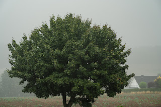 Wetterfotografie Gewitterzelle Unwetterzelle Weserbergland Olaf Kerber