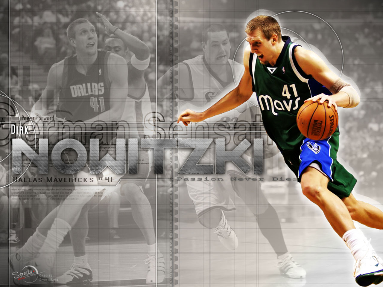 20+ Best Dirk Nowitzki Wallpapers Ever | TheNbaZone.com (Sudhanshu ...