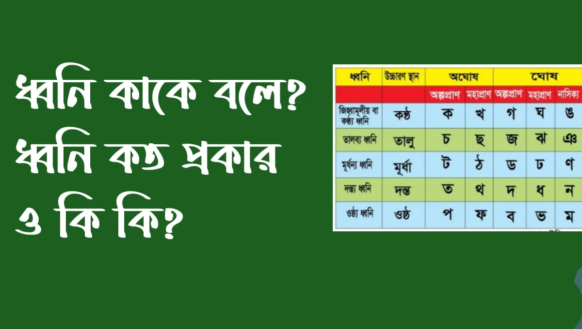 ধ্বনি কাকে বলে? ধ্বনি কত প্রকার ও কি কি?