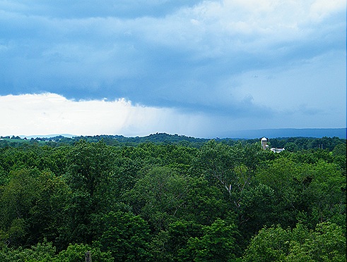 2010_0628monday0040