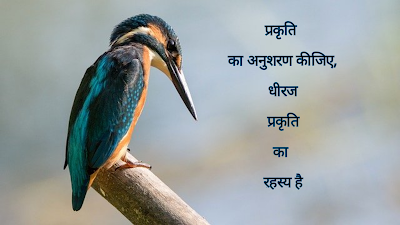 Hindi Quotes