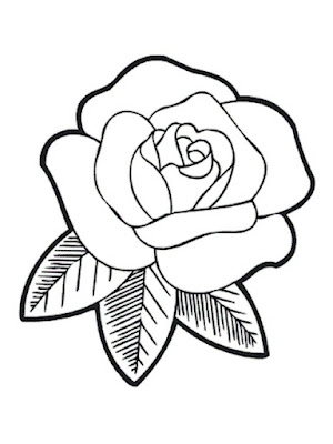 Flores para desenhar e colorir no papel - desenhos de rosas