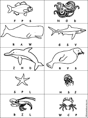 Ocean Animal List