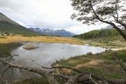 IMG_7083