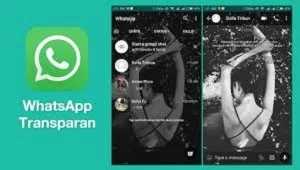 Cara Mengganti Tema Whatsapp Tanpa GBWhatsApp