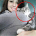 I wish i was that cat
