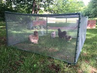 DIY Cheap and Easy Portable Chicken | Rabbit Run