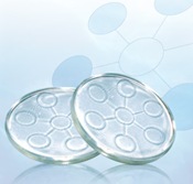 bio disc1
