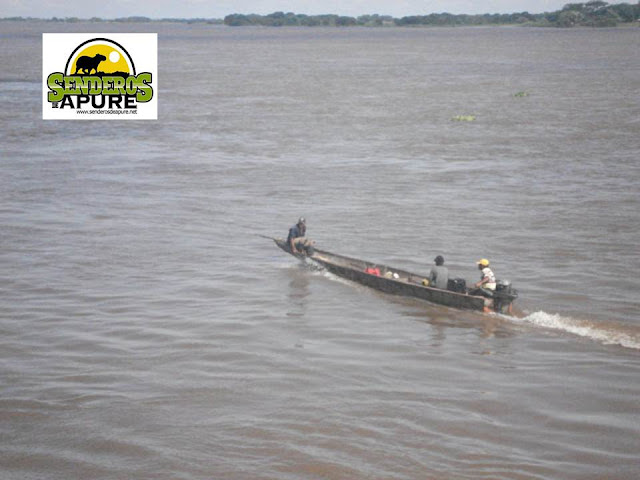 FOTOGRAFÍA:  Senderos de Apure: En plena faena de canoeros en río Apure. 