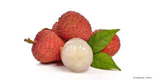Lychee Killed Indian Children From Many Years but what is reason??
