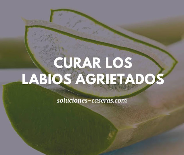 aloe para labios agrietados