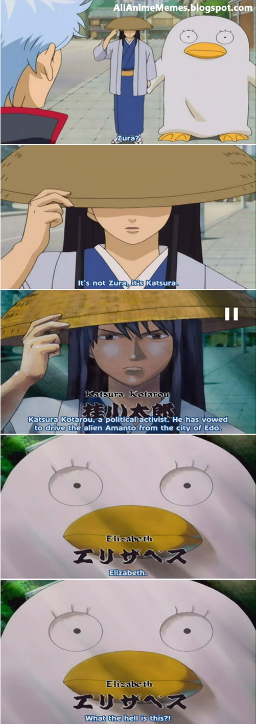 Gintama Katsura Kotarou And Elizabeth Funny Meme