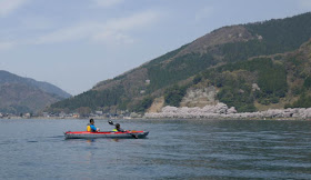 海津大崎の桜とカヤック